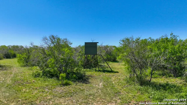 48.25 ACRES County Road 114 George West, TX 78466