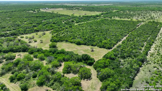 48.25 ACRES County Road 114 George West, TX 78466