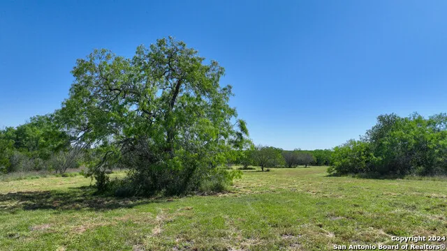 48.25 ACRES County Road 114 George West, TX 78466