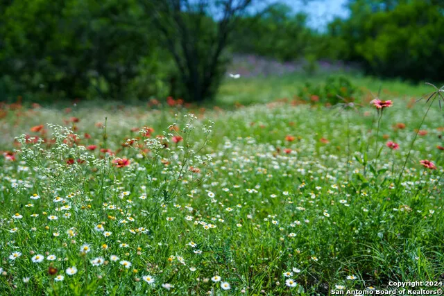 48.25 ACRES County Road 114 George West, TX 78466