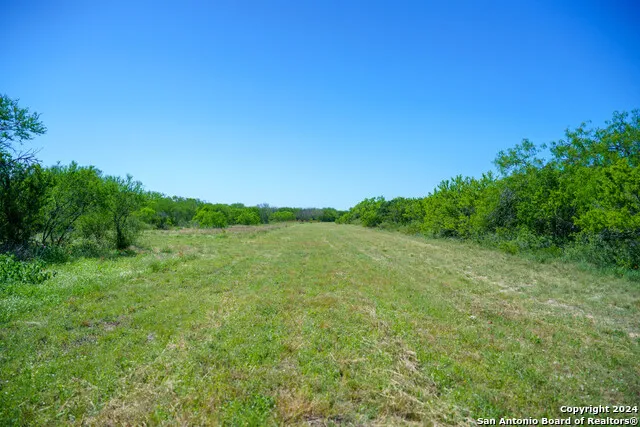 48.25 ACRES County Road 114 George West, TX 78466