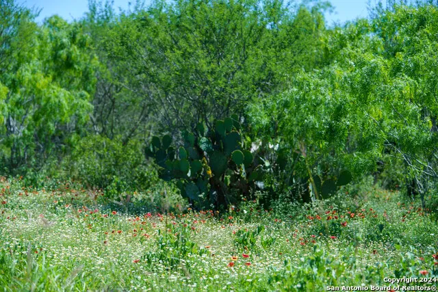 48.25 ACRES County Road 114 George West, TX 78466
