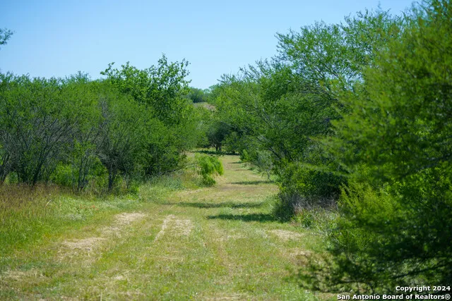 48.25 ACRES County Road 114 George West, TX 78466