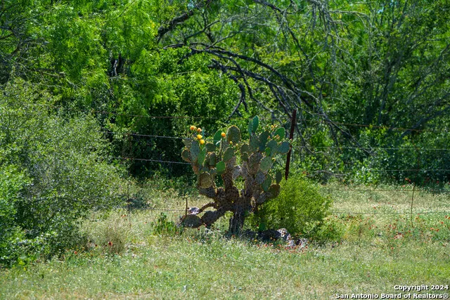 48.25 ACRES County Road 114 George West, TX 78466