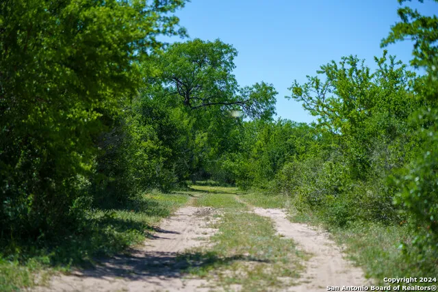 48.25 ACRES County Road 114 George West, TX 78466