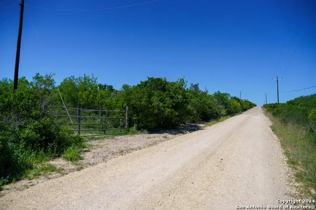 48.25 ACRES County Road 114 George West, TX 78466