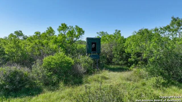 48.25 ACRES County Road 114 George West, TX 78466