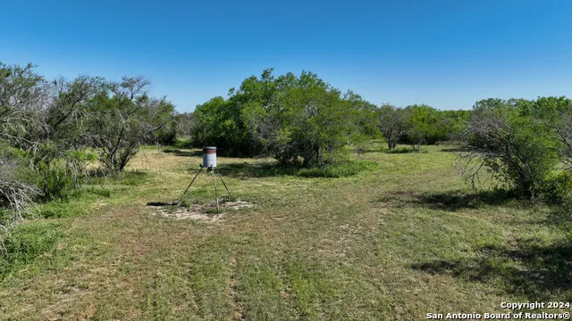 48.25 ACRES County Road 114 George West, TX 78466