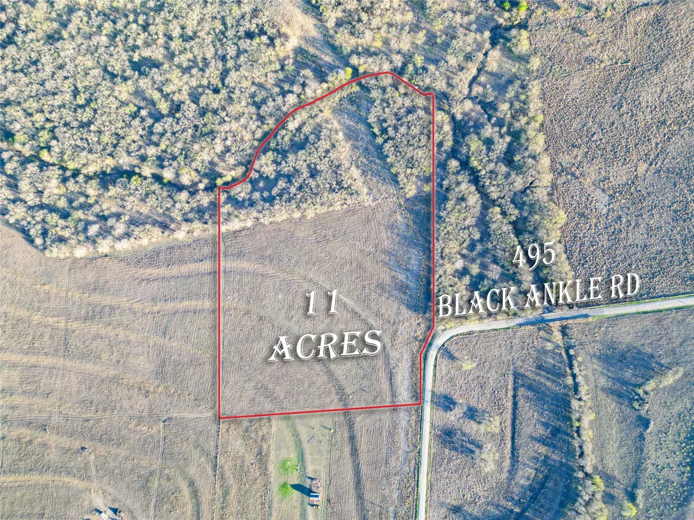 495 Black Ankle Road Lockhart, TX 78644