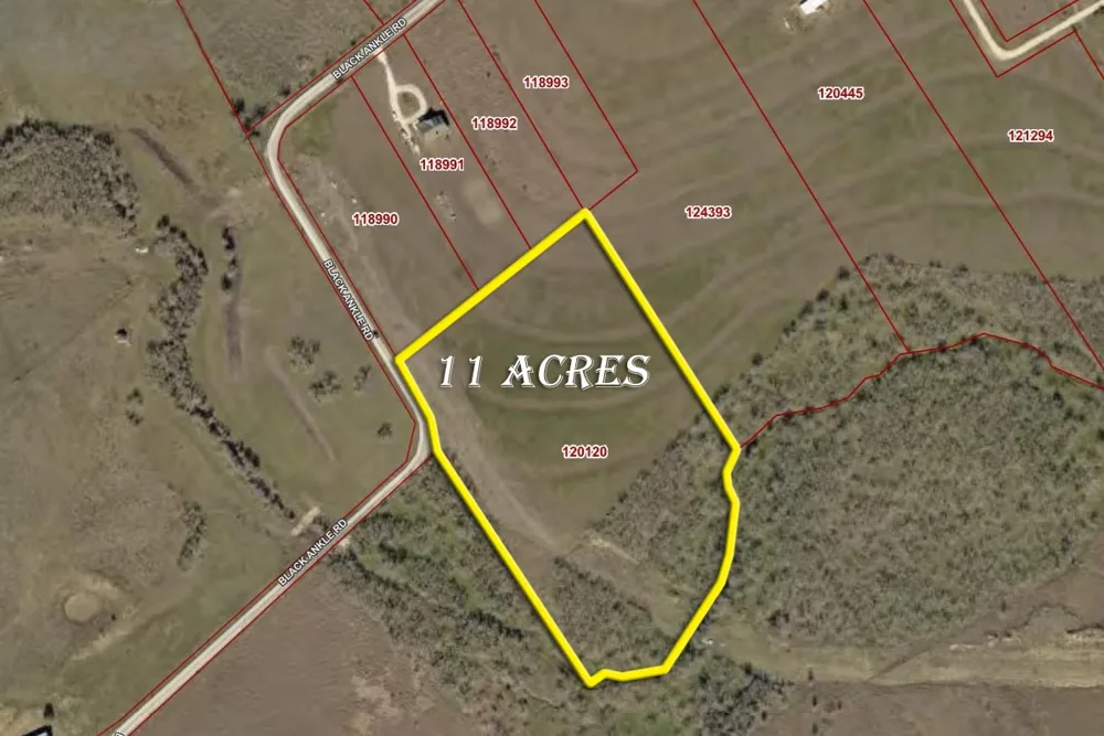 495 Black Ankle Road Lockhart, TX 78644