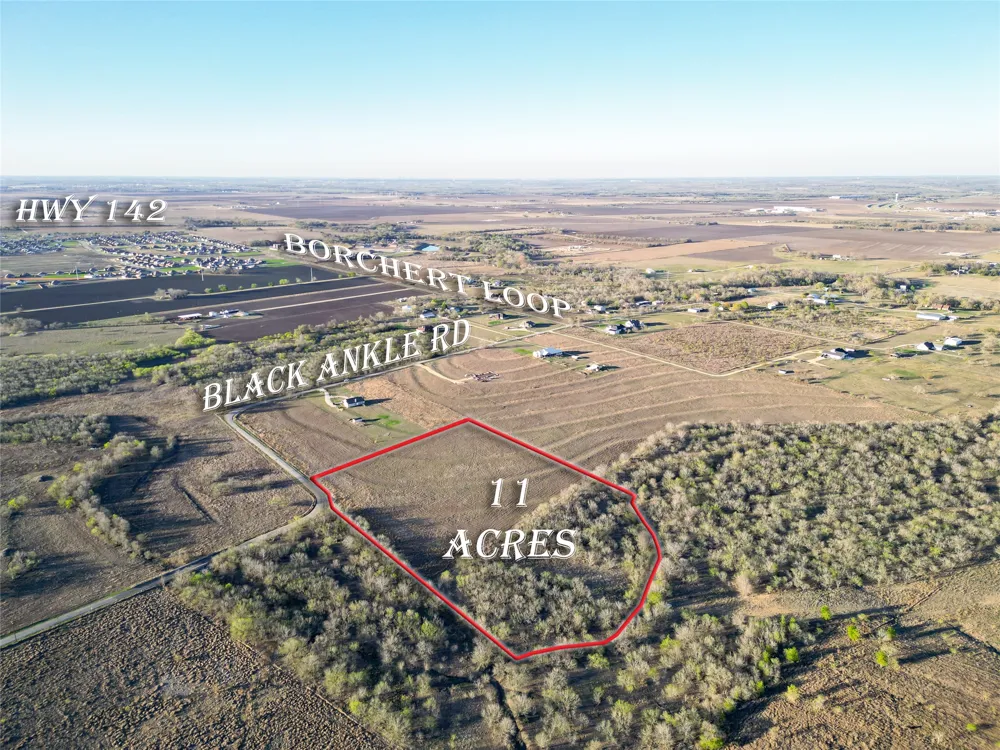 495 Black Ankle Road Lockhart, TX 78644