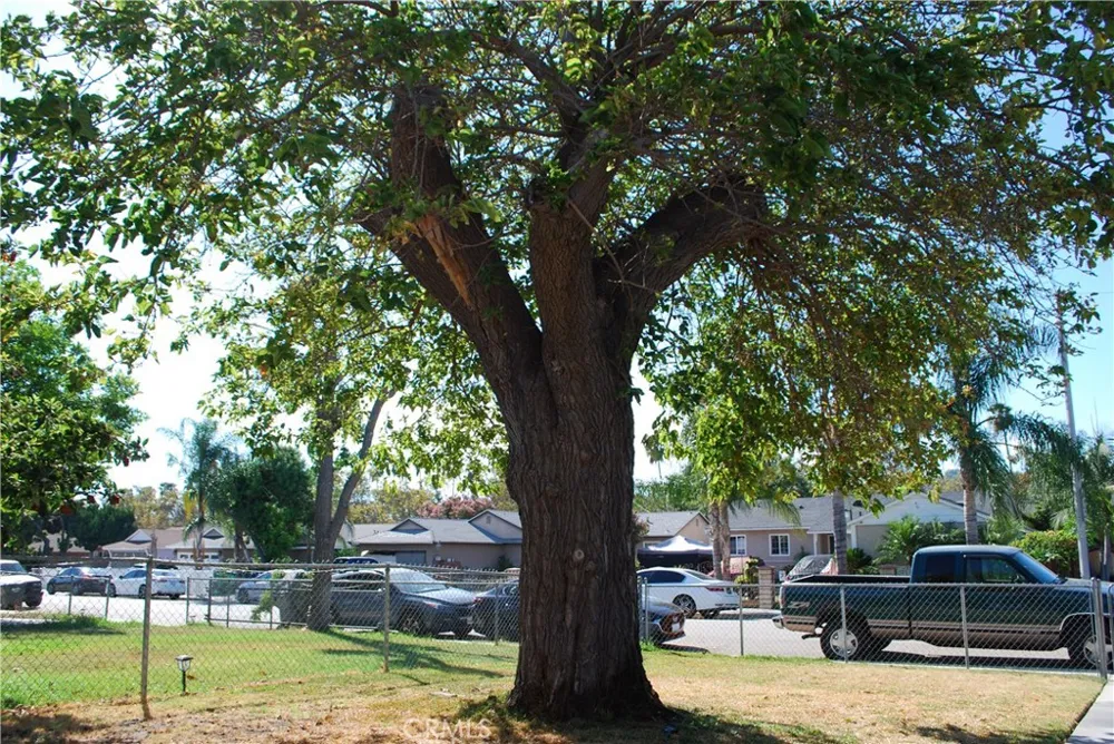 2498 Kellogg Park Drive Pomona, CA 91768