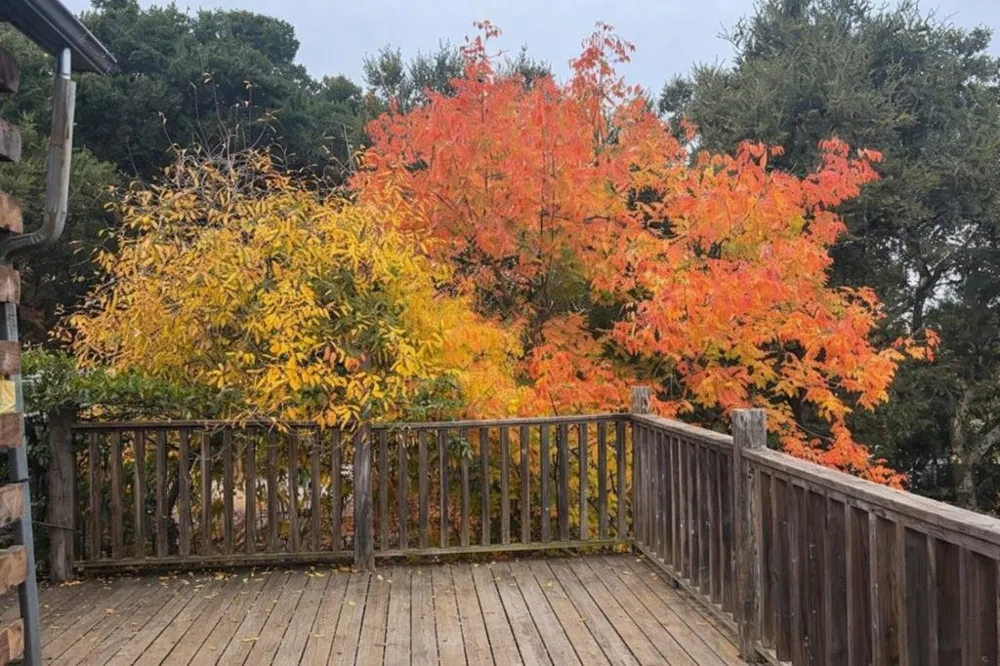 4101 San Juan Canyon Road San Juan Bautista, CA 95045
