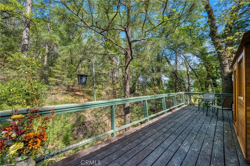 15306 Western Mine Middletown, CA 95461