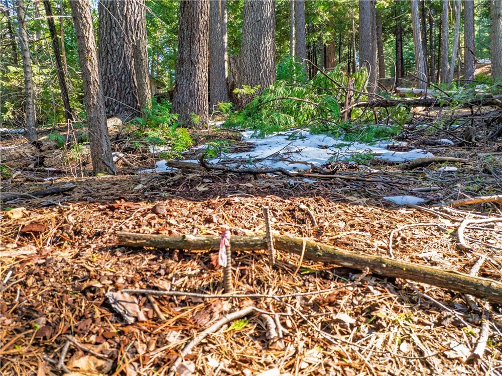 1803 Evergreen Arnold, CA 95223