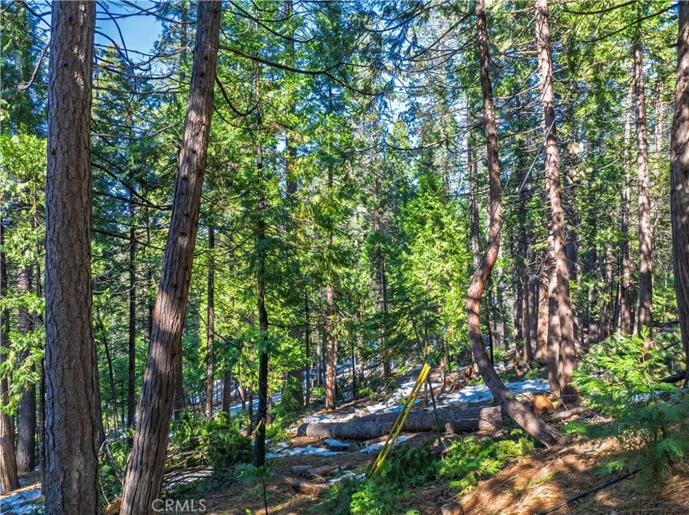 1803 Evergreen Arnold, CA 95223