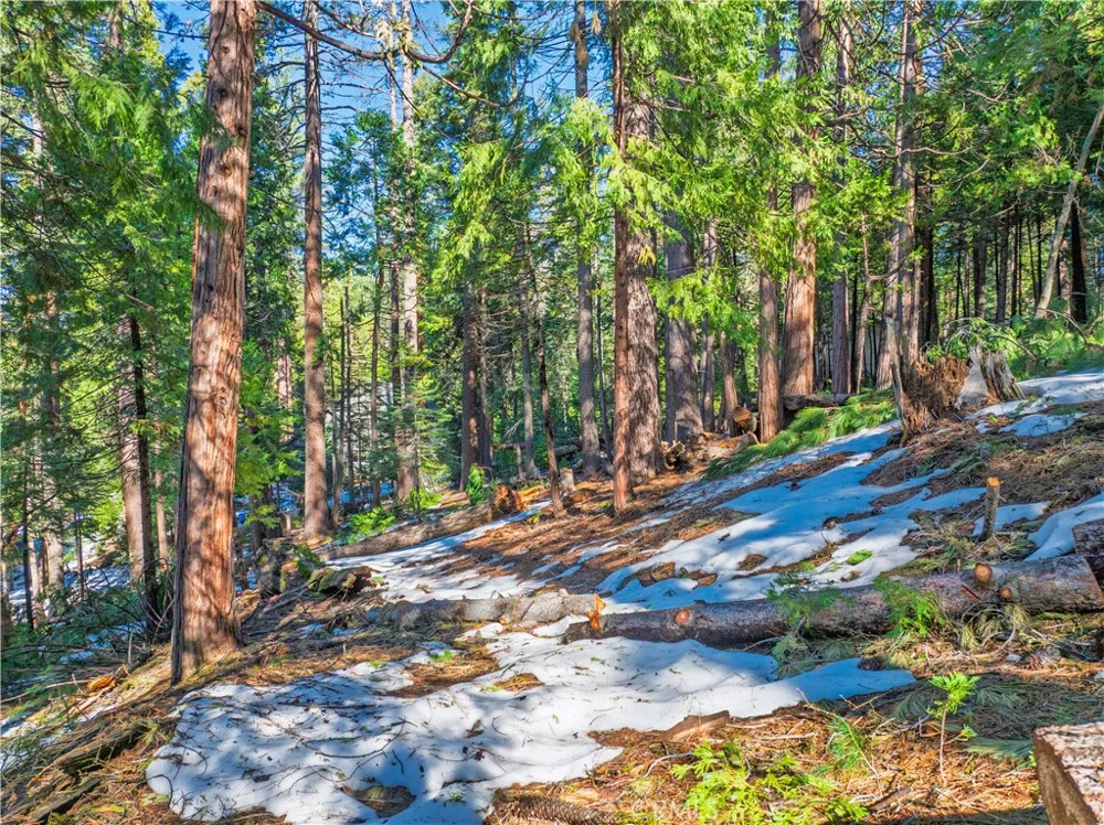 1803 Evergreen Arnold, CA 95223