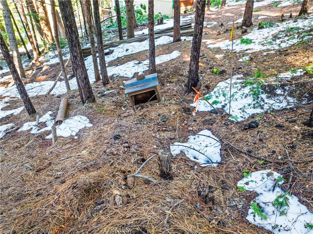 1803 Evergreen Arnold, CA 95223