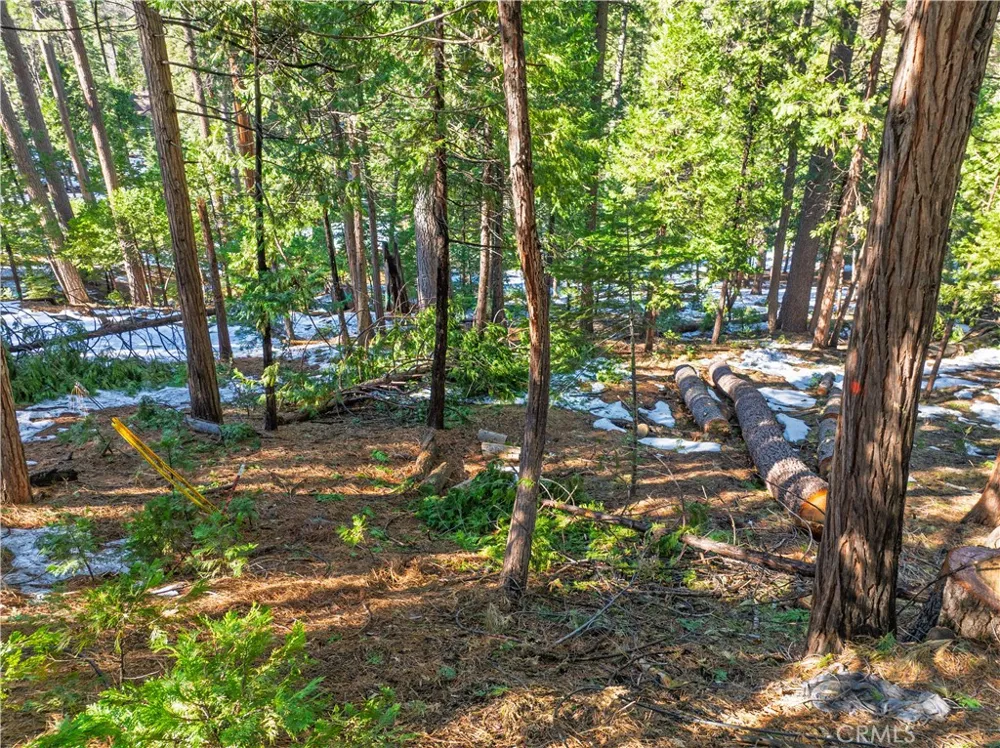 1803 Evergreen Arnold, CA 95223