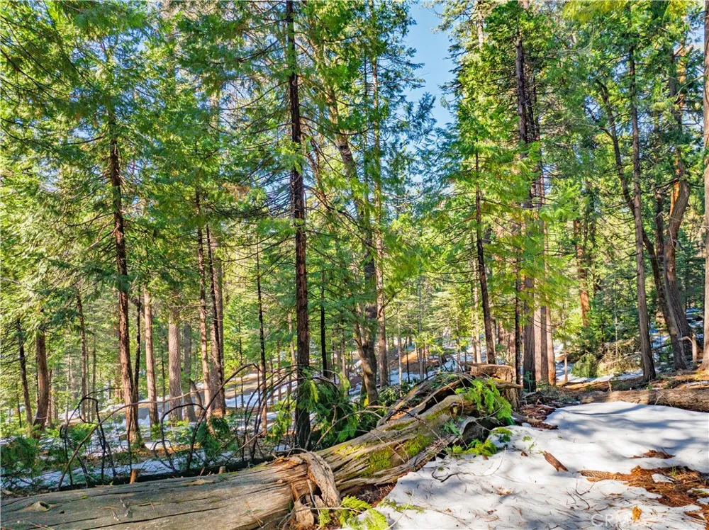 1803 Evergreen Arnold, CA 95223