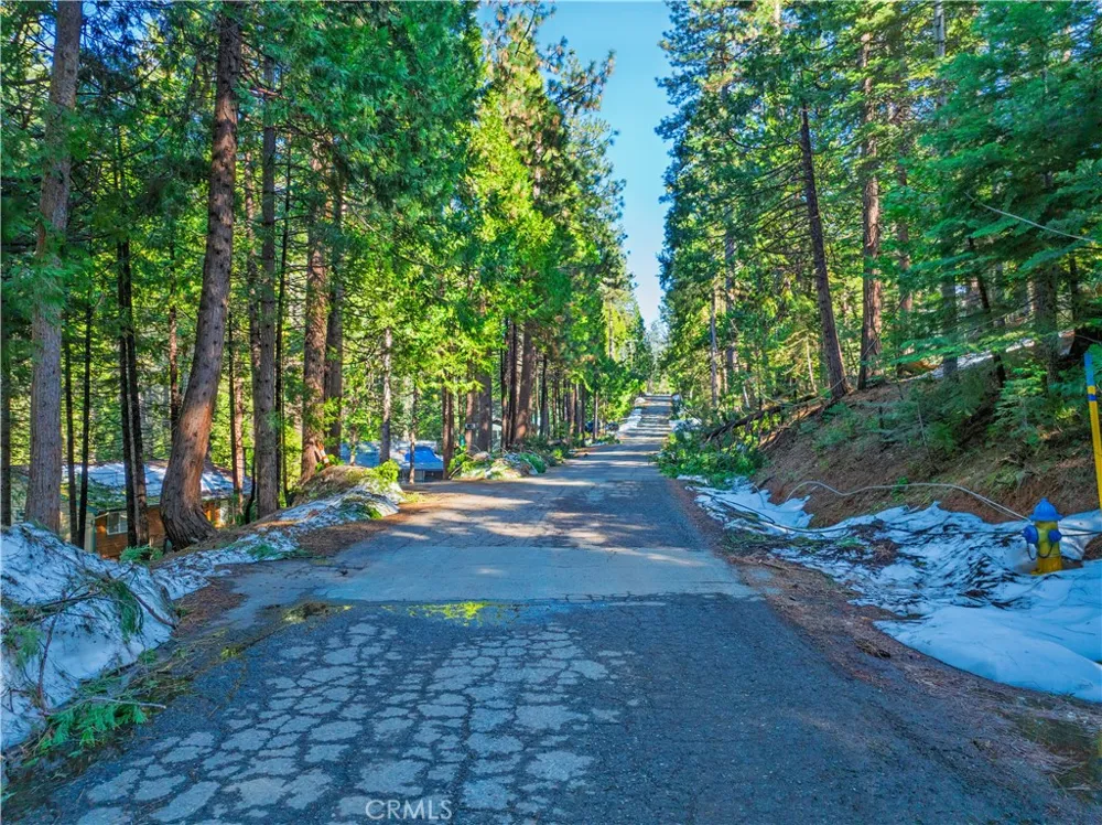 1803 Evergreen Arnold, CA 95223