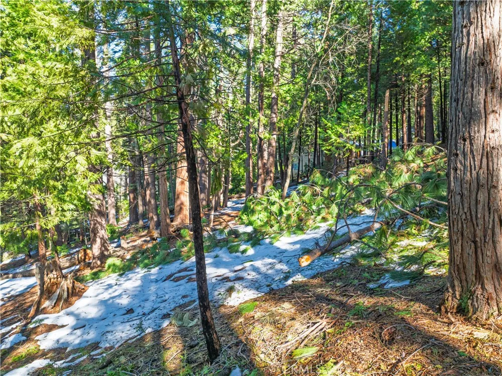 1803 Evergreen Arnold, CA 95223