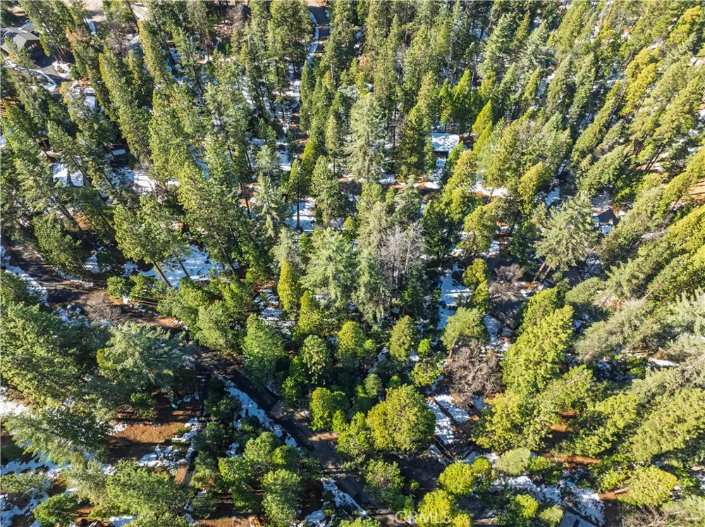 1803 Evergreen Arnold, CA 95223