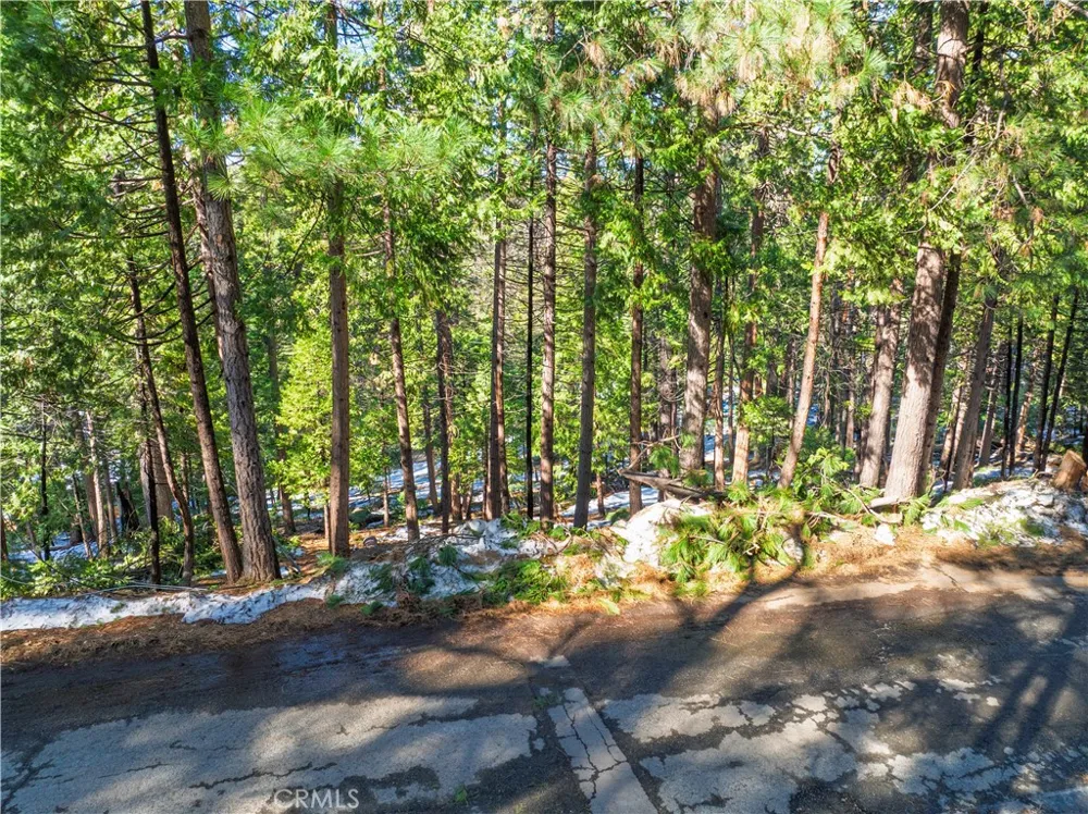 1803 Evergreen Arnold, CA 95223
