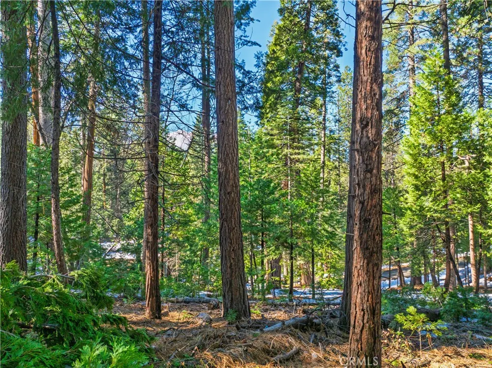 1803 Evergreen Arnold, CA 95223