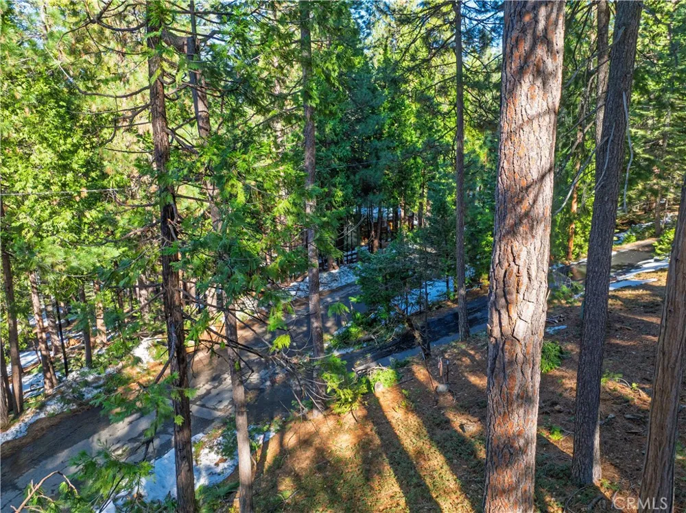 1803 Evergreen Arnold, CA 95223