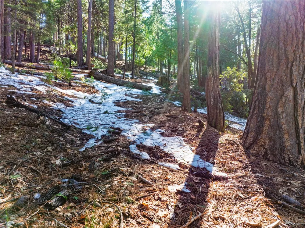 1803 Evergreen Arnold, CA 95223