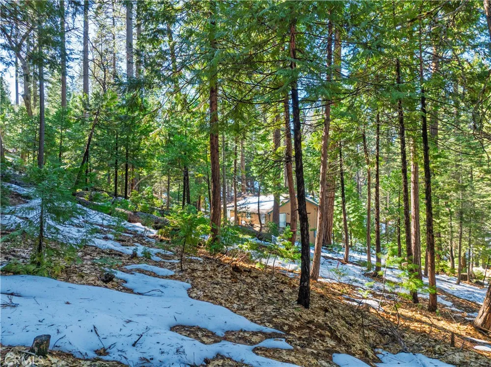 1803 Evergreen Arnold, CA 95223