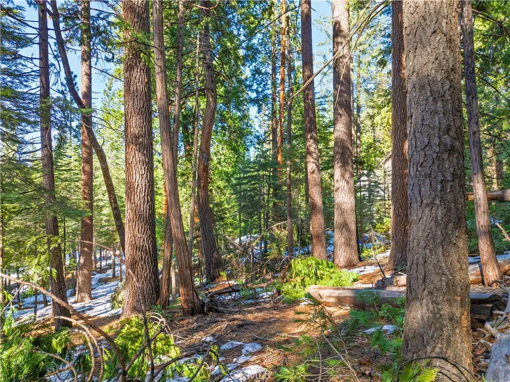 1803 Evergreen Arnold, CA 95223