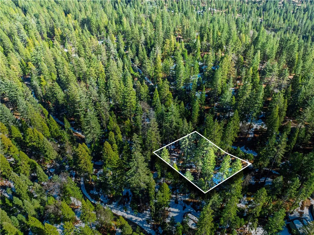 1803 Evergreen Arnold, CA 95223