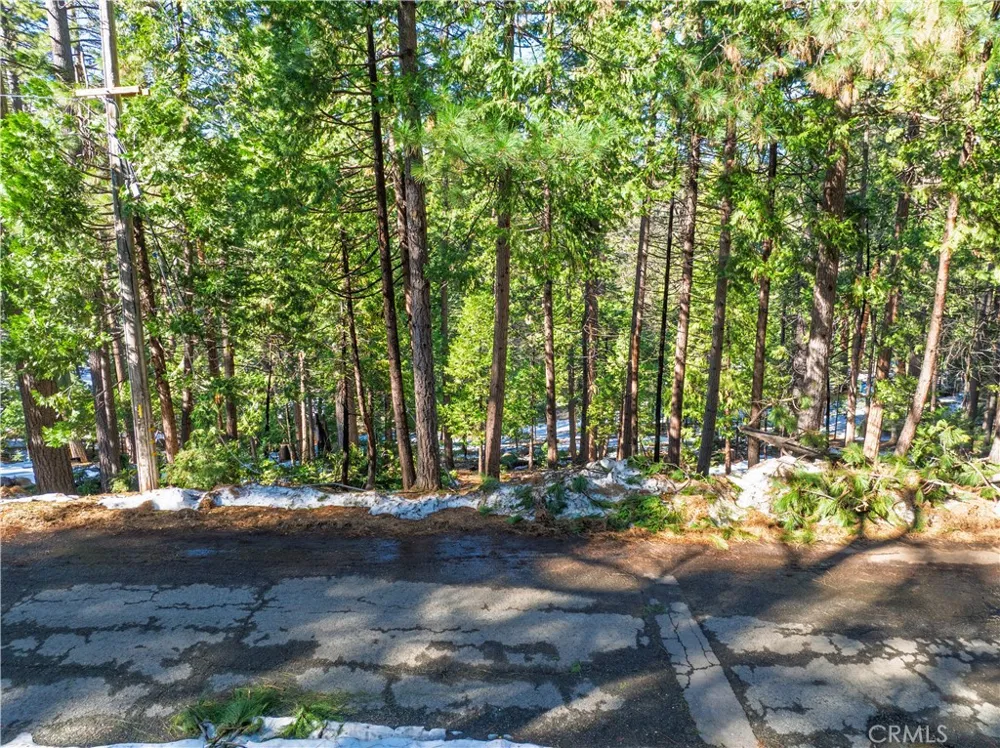 1803 Evergreen Arnold, CA 95223