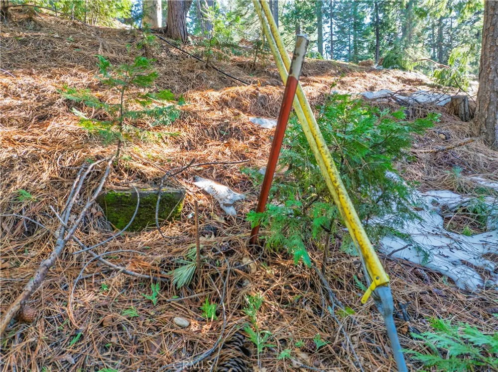 1803 Evergreen Arnold, CA 95223