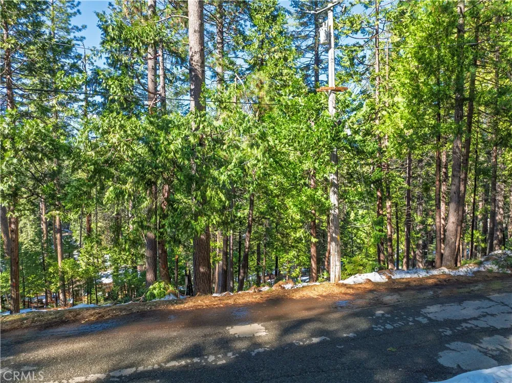 1803 Evergreen Arnold, CA 95223