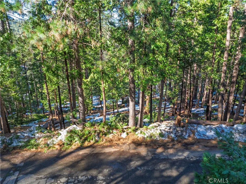 1803 Evergreen Arnold, CA 95223