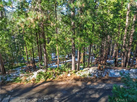 1803 Evergreen
