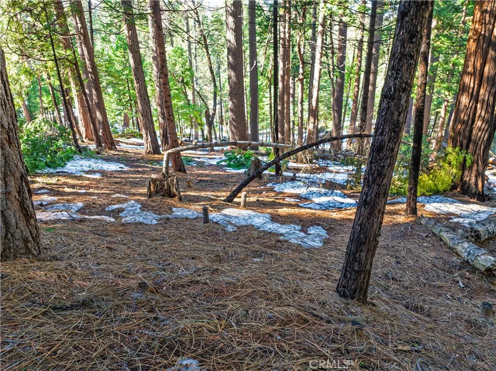 1803 Evergreen Arnold, CA 95223