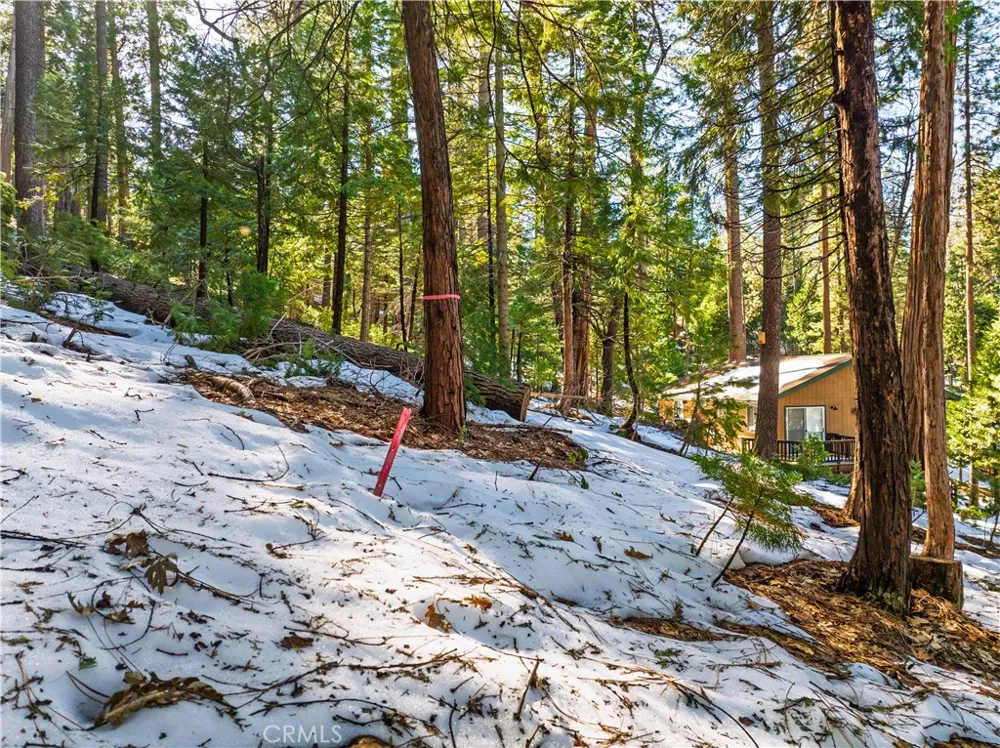 1803 Evergreen Arnold, CA 95223