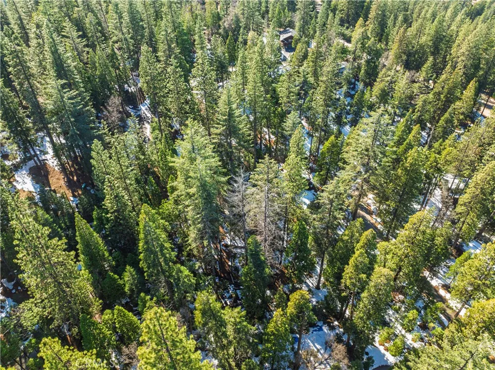 1803 Evergreen Arnold, CA 95223