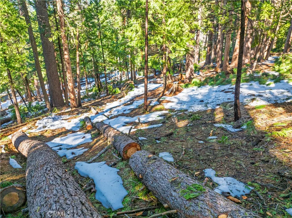 1803 Evergreen Arnold, CA 95223