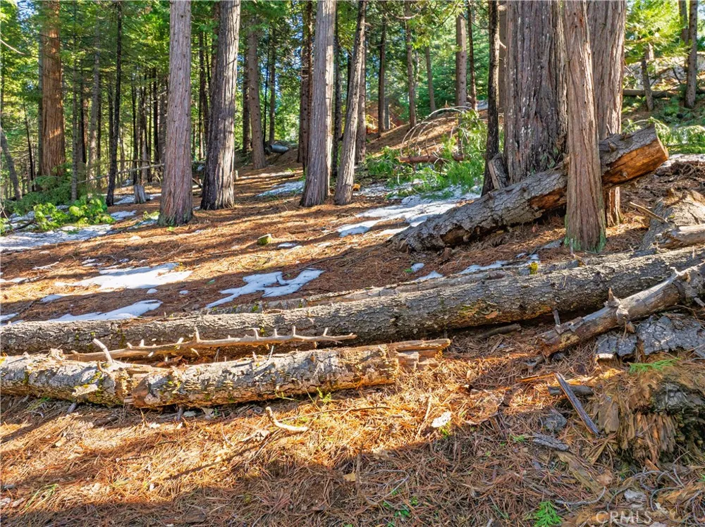 1803 Evergreen Arnold, CA 95223