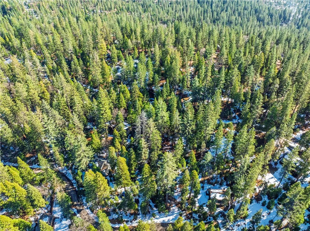1803 Evergreen Arnold, CA 95223
