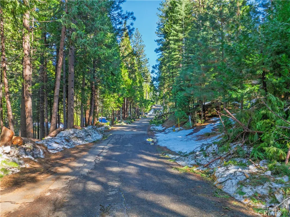 1803 Evergreen Arnold, CA 95223