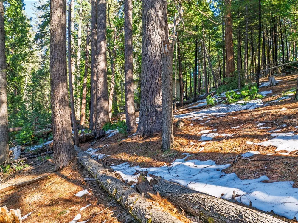 1803 Evergreen Arnold, CA 95223