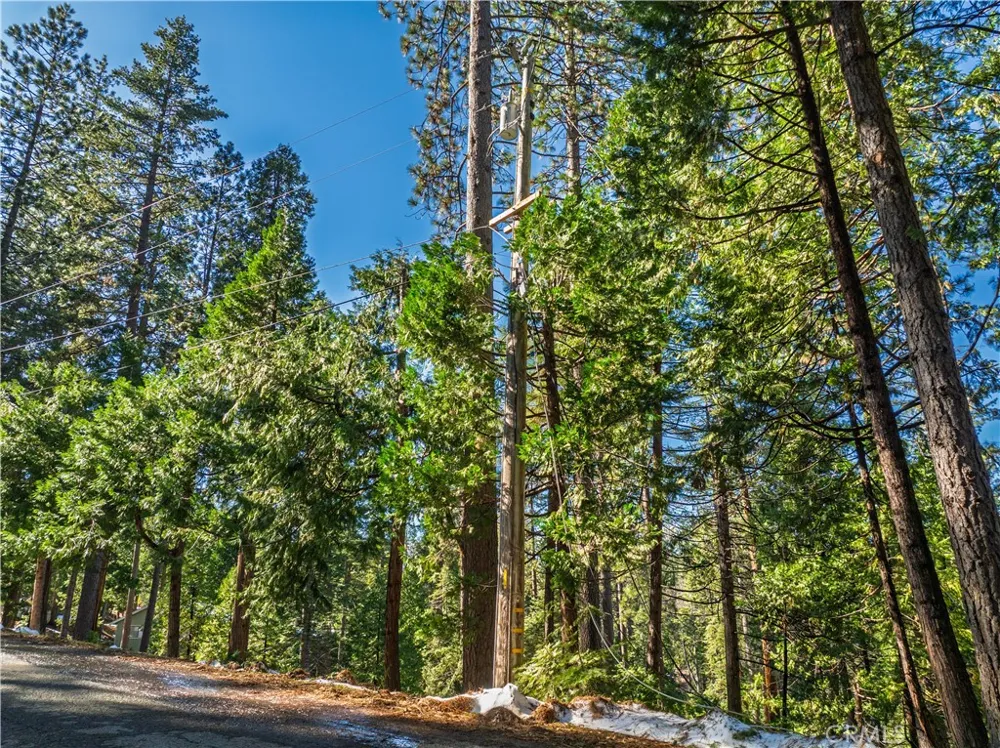 1803 Evergreen Arnold, CA 95223