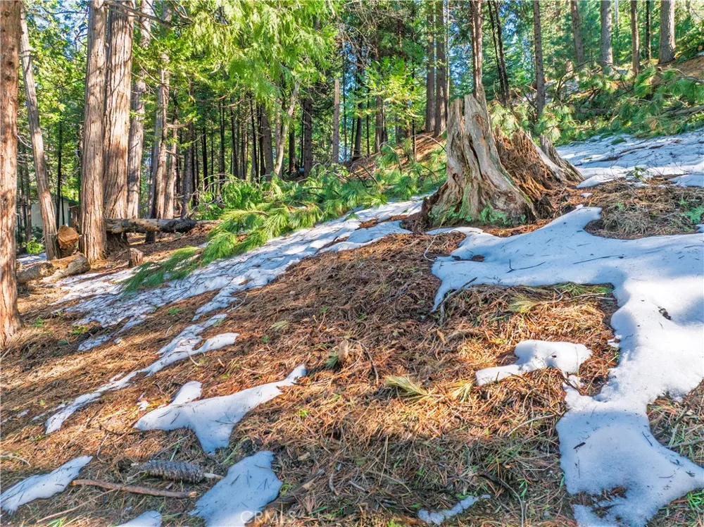 1803 Evergreen Arnold, CA 95223