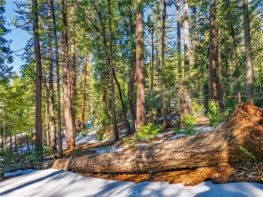 1803 Evergreen Arnold, CA 95223